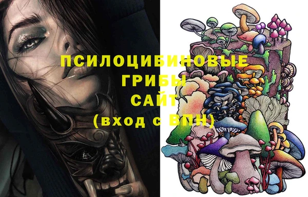 дмт Бугульма