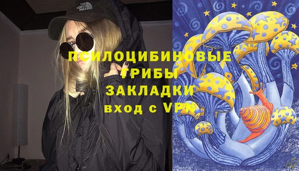 крисы Богданович