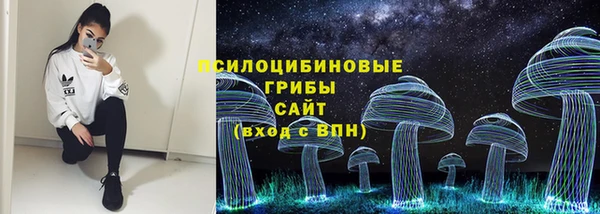 не бодяженный Богородицк