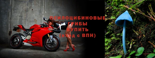 не бодяженный Богородицк