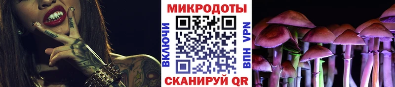 купить наркотик  Каменка  Галлюциногенные грибы мухоморы 